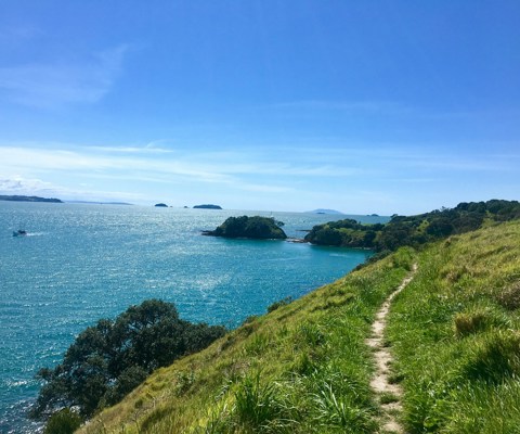Ontdek Waiheke Island met zijn wijngaarden en prachtige wandelroutes