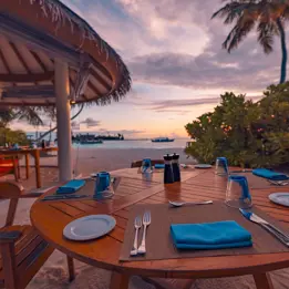 Ssiv Groupergrill 11.0261D5850549