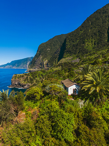 Stadsleven in Funchal